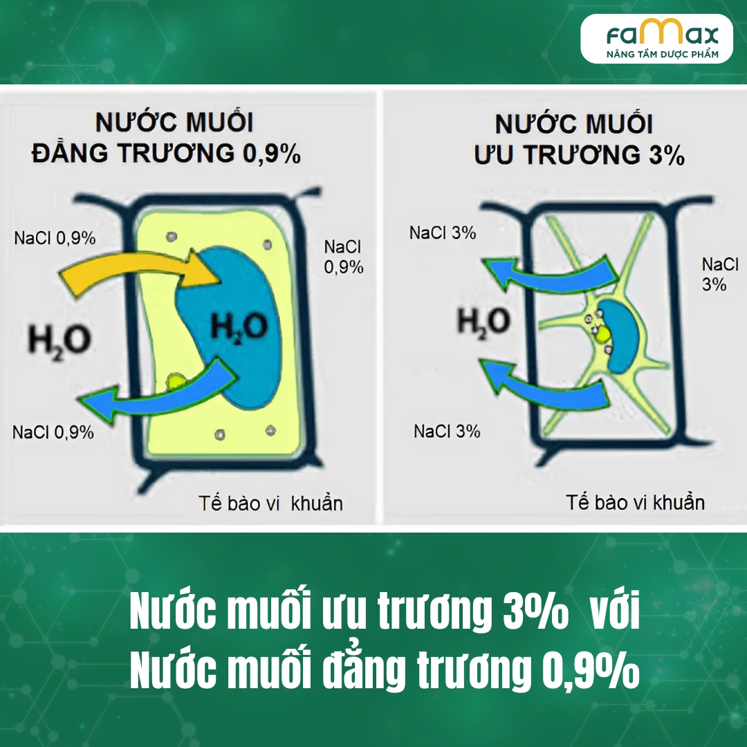 CÁc TriỆu ChỨng ViÊm Xoang (2)