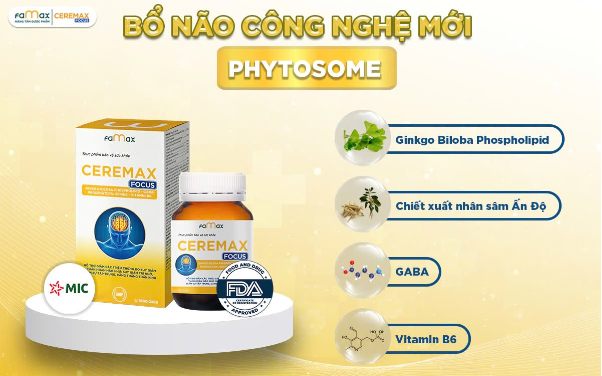 Ginkgo biloba phospholipid - Ứng dụng công nghệ Phytosome gia tăng trí nhớ và sự tập trung hiệu quả - Ảnh 3.