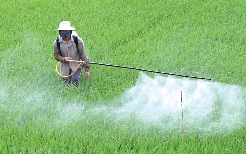 Có Nên Uống Thực Phẩm Chức Năng Giải độc Gan 1