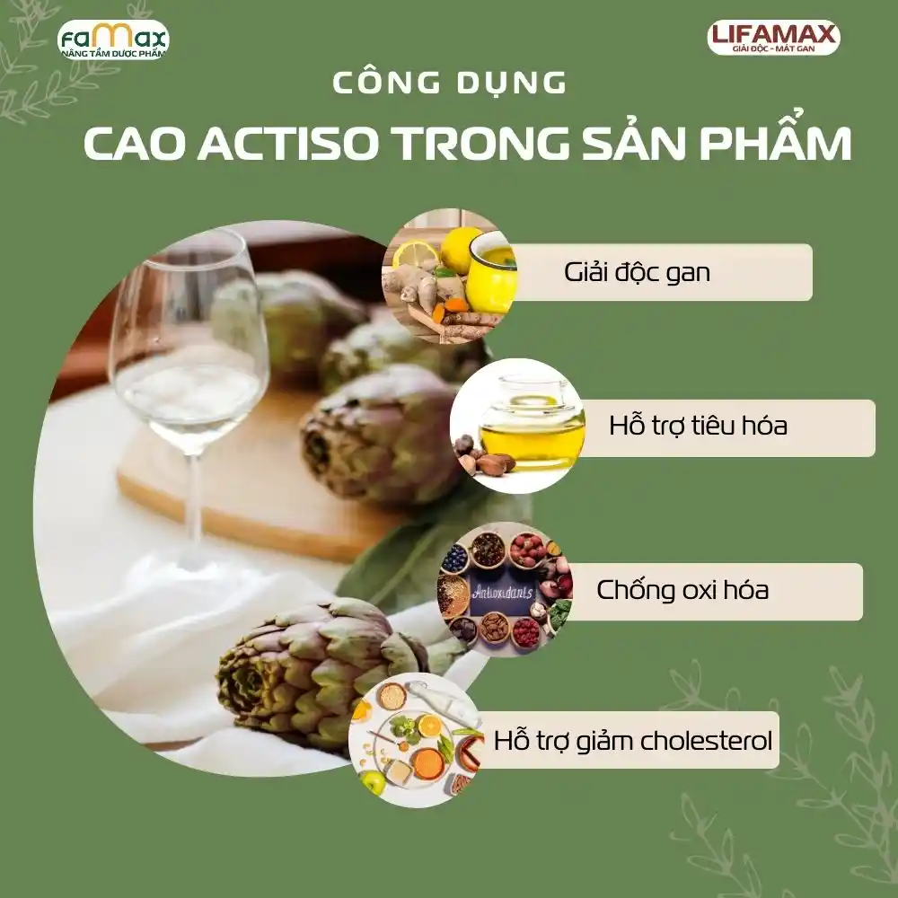 Công Dụng Của Cao Actiso2