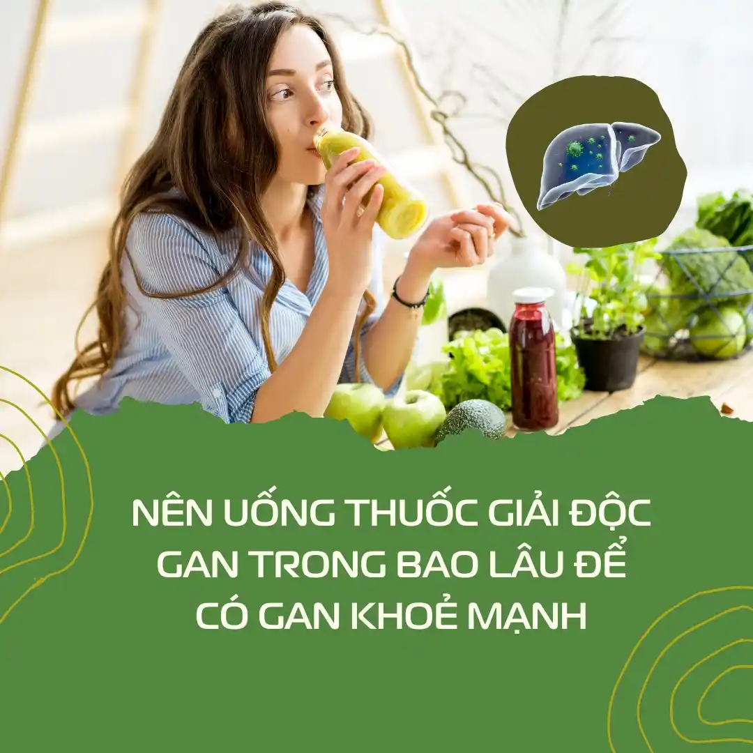 Nên Uống Thuốc Giải độc Gan Trong Bao Lâu