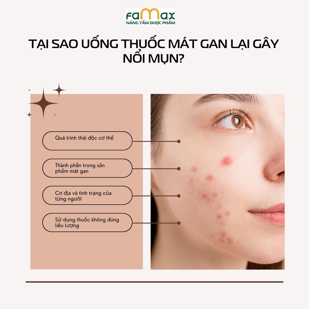 Tại Sao Uống Thuốc Mát Gan Lại Gây Nổi Mụn