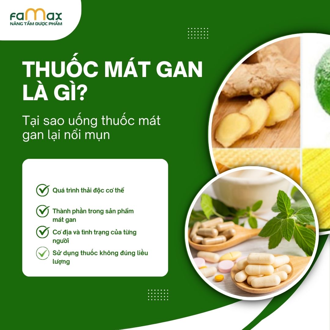 Tại Sao Uống Thuốc Mát Gan Lại Gây Nổi Mụn2