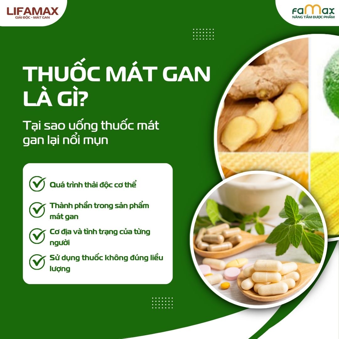 Tại Sao Uống Thuốc Mát Gan Lại Gây Nổi Mụn 2