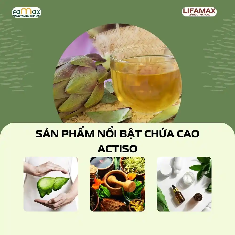 Công Dụng Của Cao Atiso3