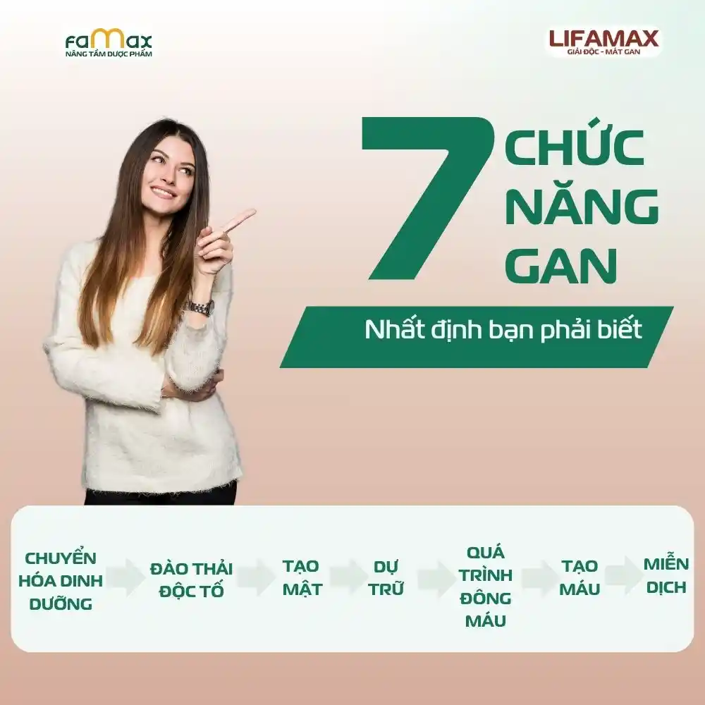 7 Chức Năng Gan