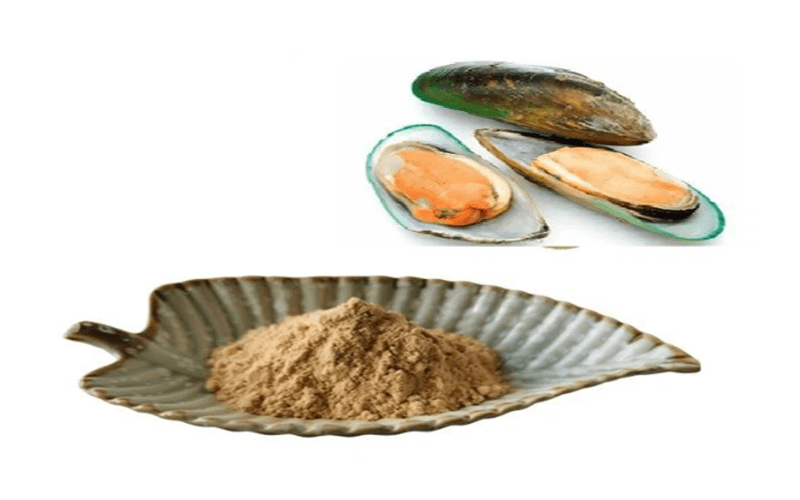 Bột Vẹm Xanh Có Tác Dụng Gì 7 Lợi ích Cho Sức Khỏe