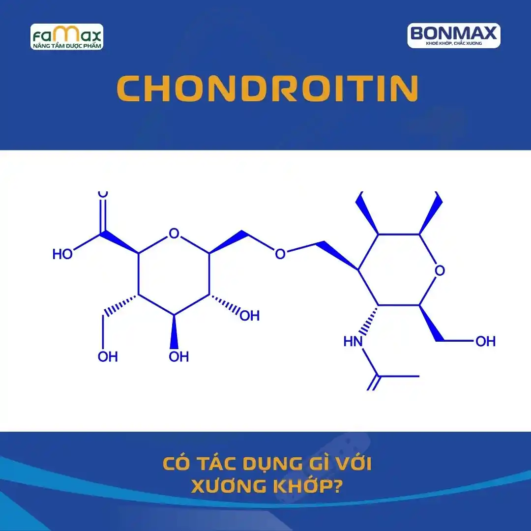 Chondroitin Sulfate Có Tác Dụng Gì