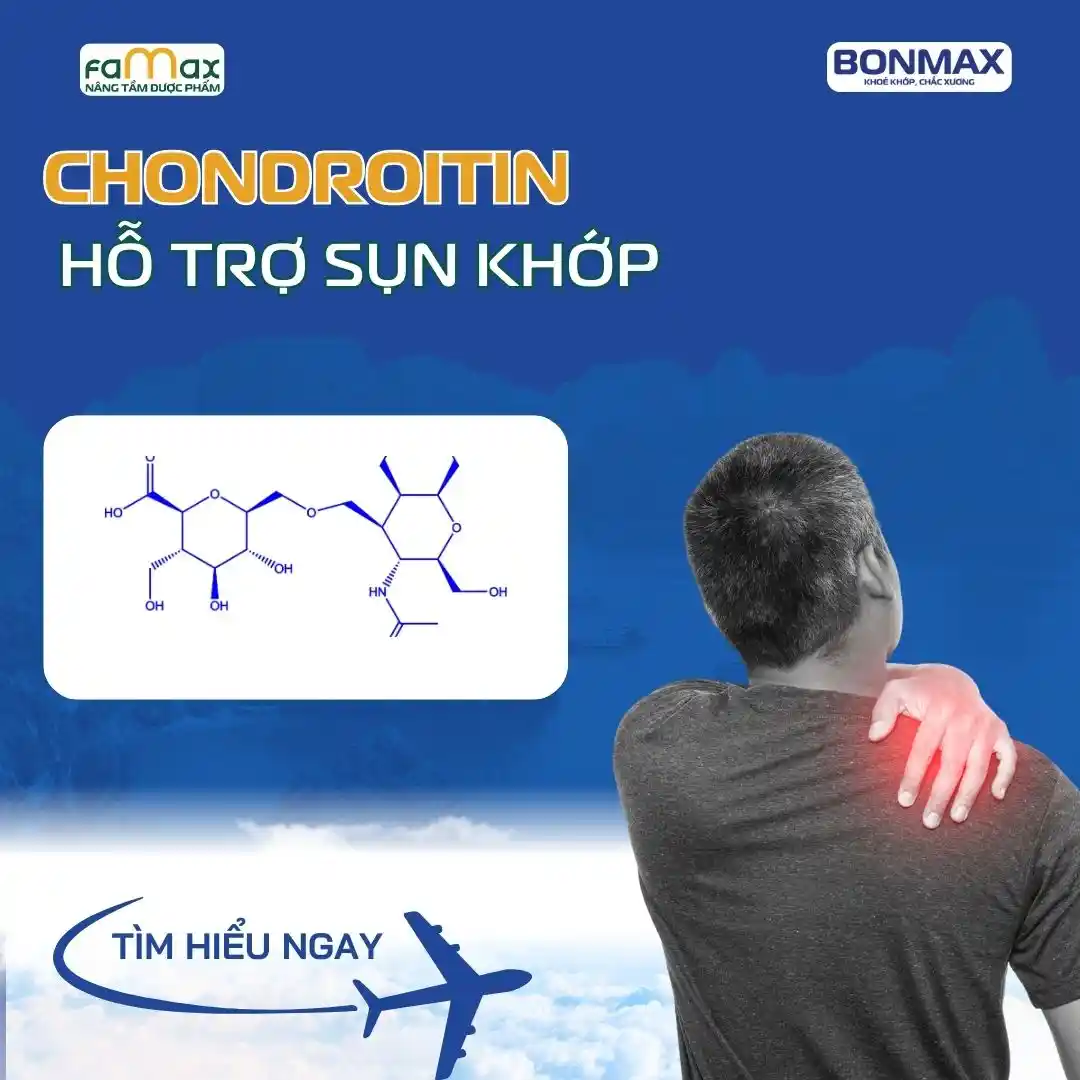 Chondroitin Sulfate Có Tác Dụng Gì2