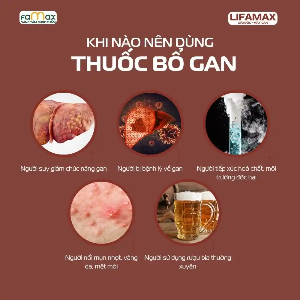 Có Nên Uống Thuốc Bổ Gan Sau Khi Uống Rượu4