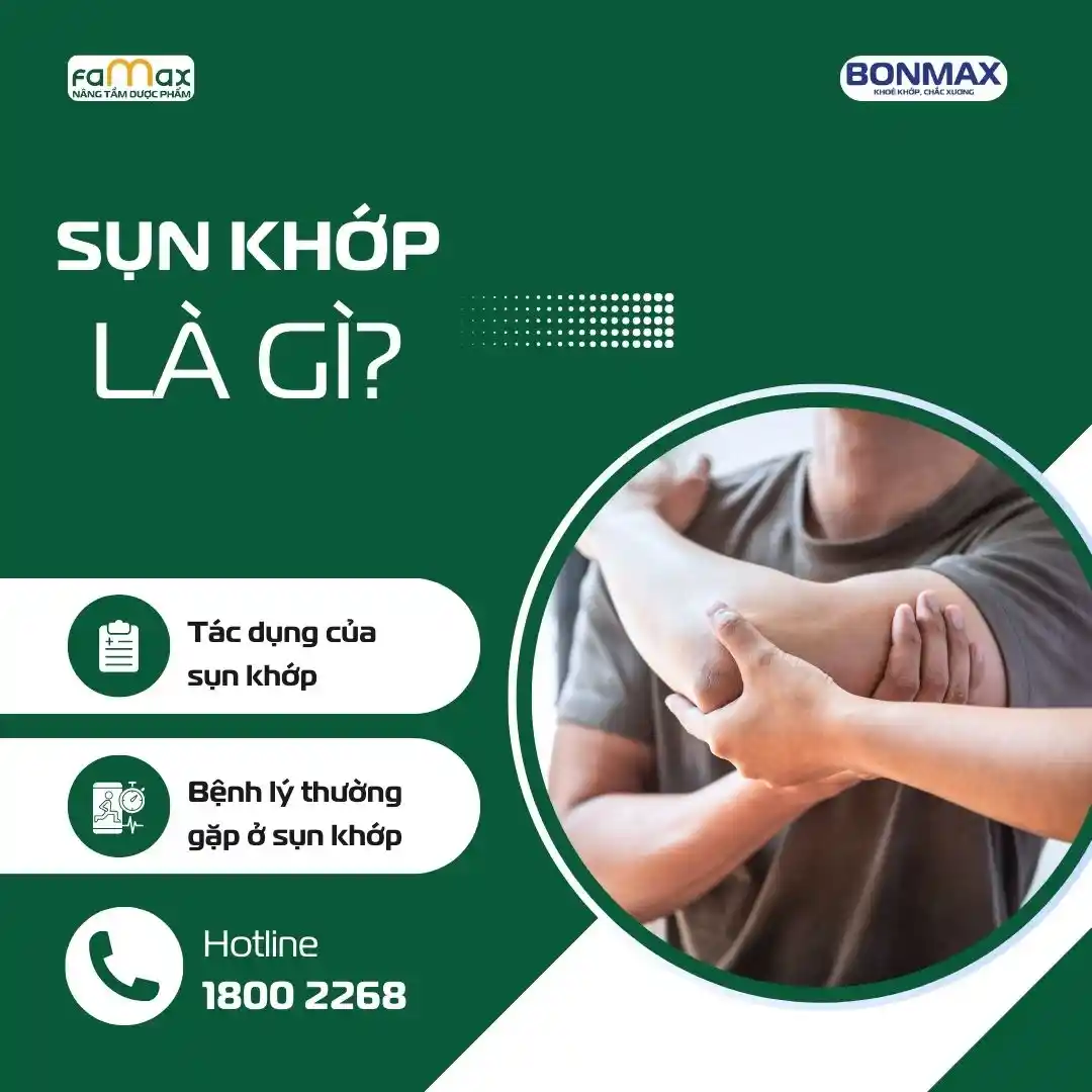 Sụn Khớp Là Gì2