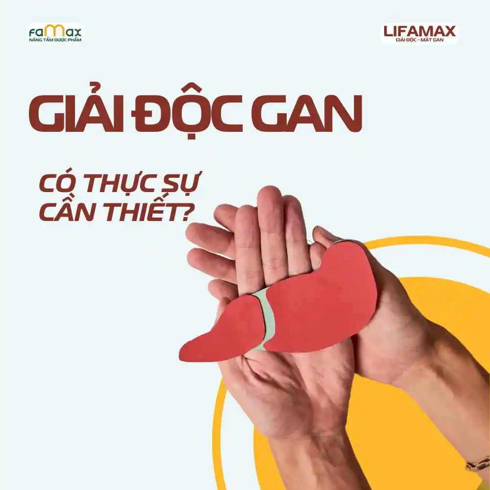 Cách Bảo Vệ Gan Khỏe Mạnh2