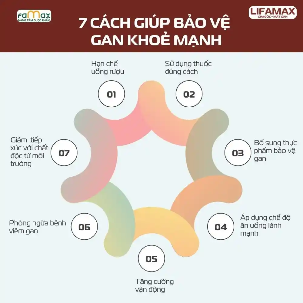 Cách Bảo Vệ Gan Khỏe Mạnh3