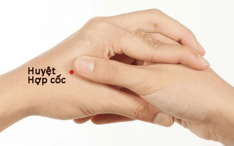 Bấm đúng huyệt Hợp Cốc sẽ giúp giảm các cơn đau đầu hiệu quả Bấm đúng huyệt Hợp Cốc sẽ giúp giảm các cơn đau đầu hiệu quả