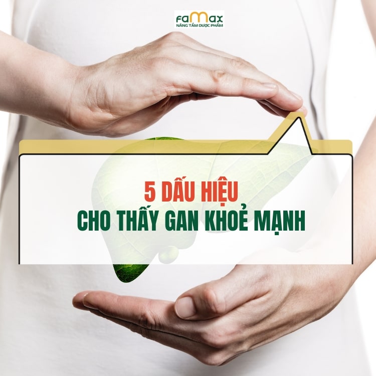 5 Dau Hieu Cho Thay Gan Khoe Manh