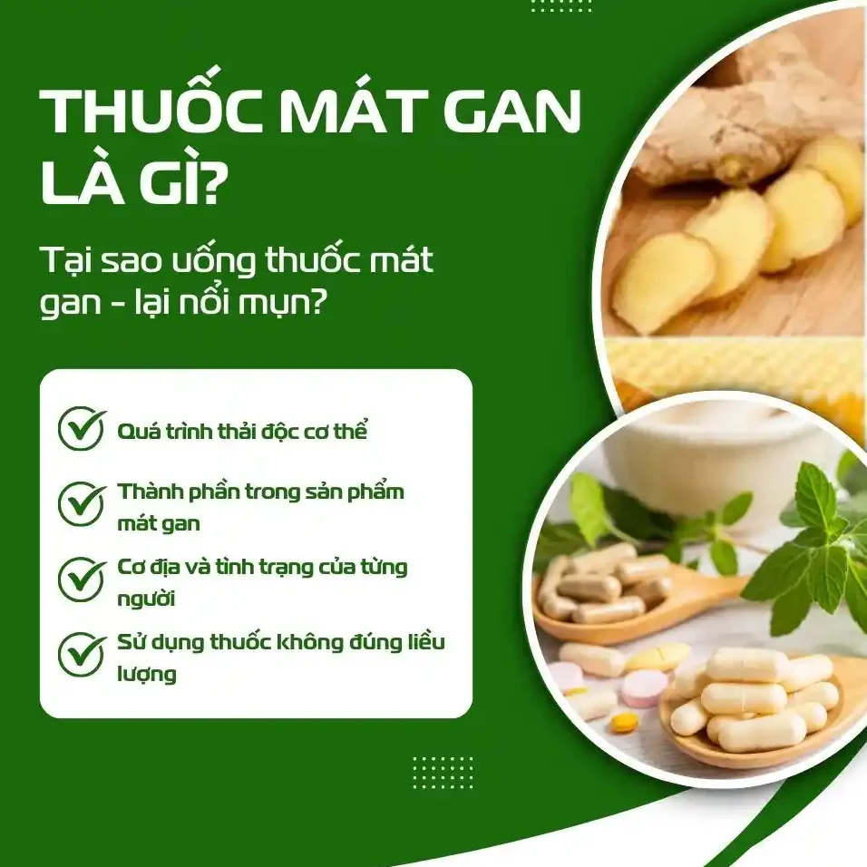 Tại Sao Uống Thuốc Mát Gan Lại Gây Nổi Mụn2