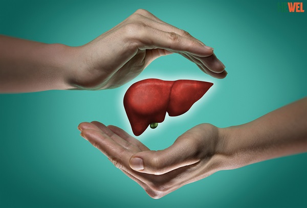 Ăn Gì Để Gan Khỏe Mạnh - Bí Quyết Dinh Dưỡng Cho Gan Sáng Khoẻ