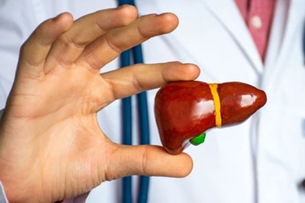 Gan Khỏe Mạnh - Bí Quyết Để Bảo Vệ Và Tăng Cường Chức Năng Gan Hiệu Quả