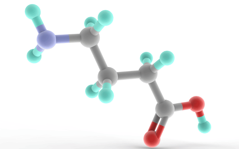 GABA (Gamma-Aminobutyric Acid) là chất dẫn truyền thần kinh ức chế quan trọng nhất