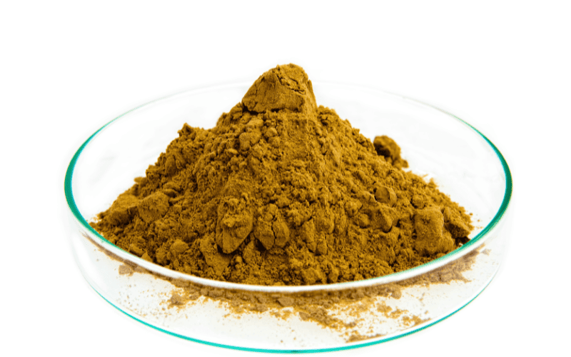 Rễ cây móng quỷ có rất nhiều tác dụng trong điều trị các vấn đề xương khớp 