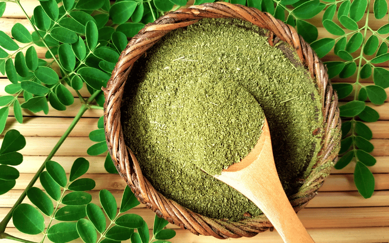 Nước ép chùm ngây là một mẹo dân gian chữa rối loạn tiền đình Nước ép chùm ngây là một mẹo dân gian chữa rối loạn tiền đình