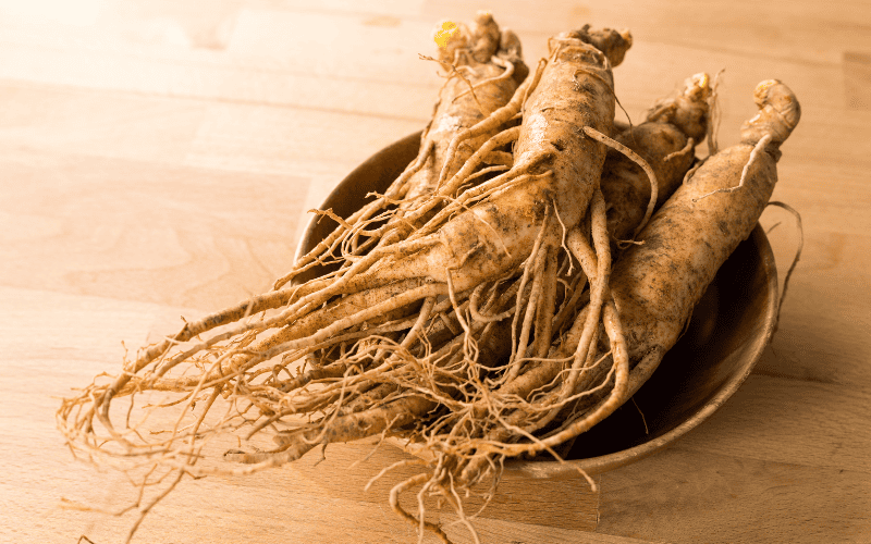 Ashwagandha - nhân sâm ấn độ, thảo dược nổi tiếng trong y học Ayurvedic của Ấn Độ