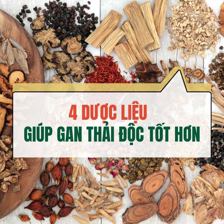 4 Duoc Lieu Giup Gan Thai Doc Tot Hon