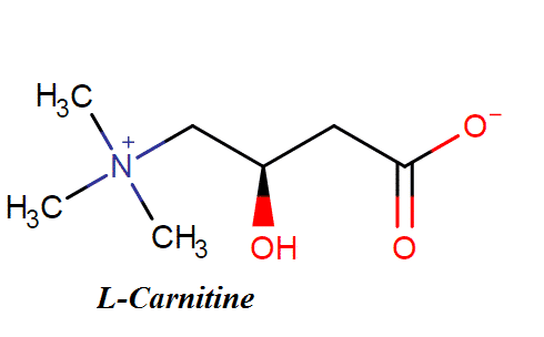 L Carnitine