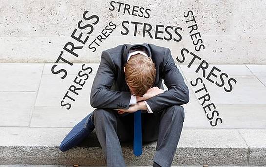 Công dụng của L-theanine với chứng lo âu, căng thẳng mất ngủ