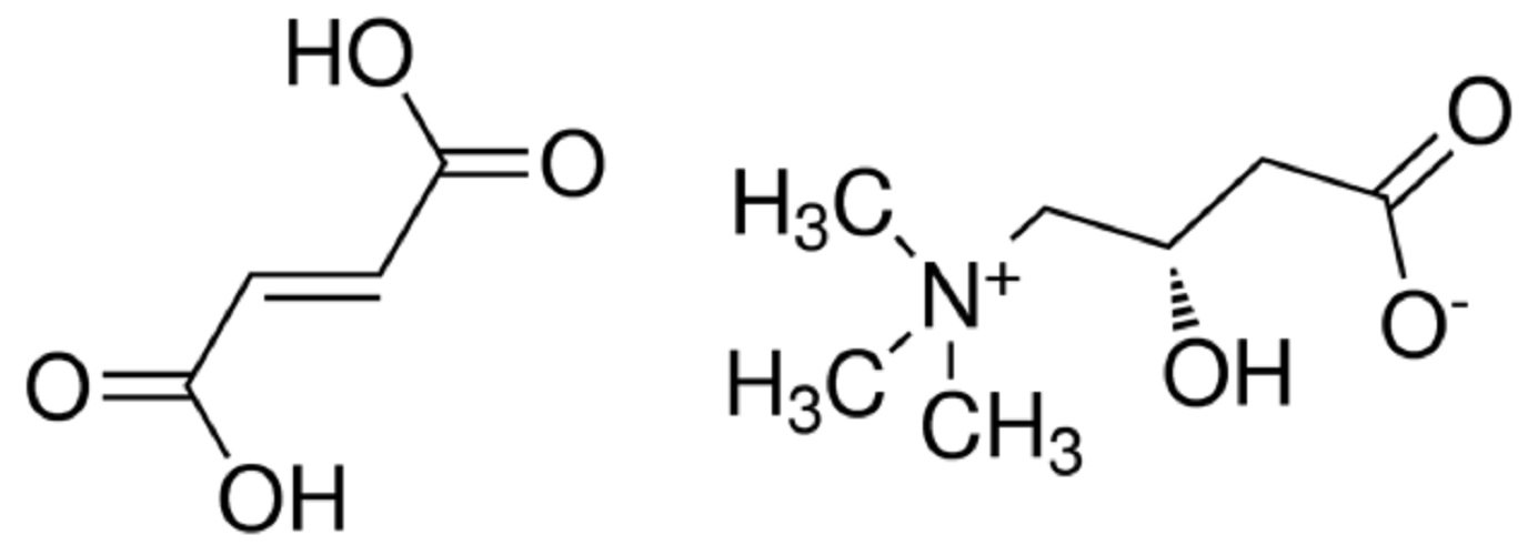 L Carnitine Fumarate