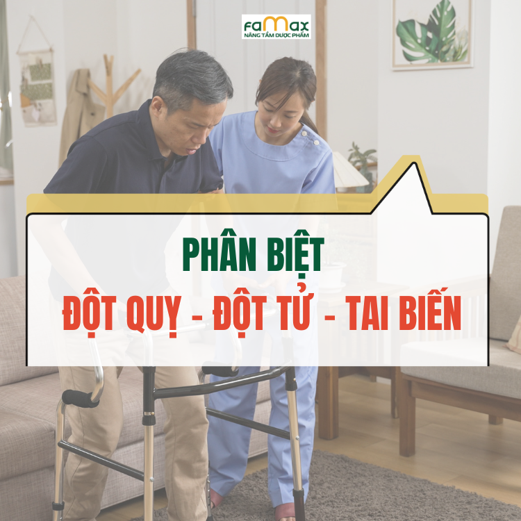 Phan Biet Dot Quy Va Dot Tu Tai Bien De Xu Ly Dung Cach 68147e196309c.webp