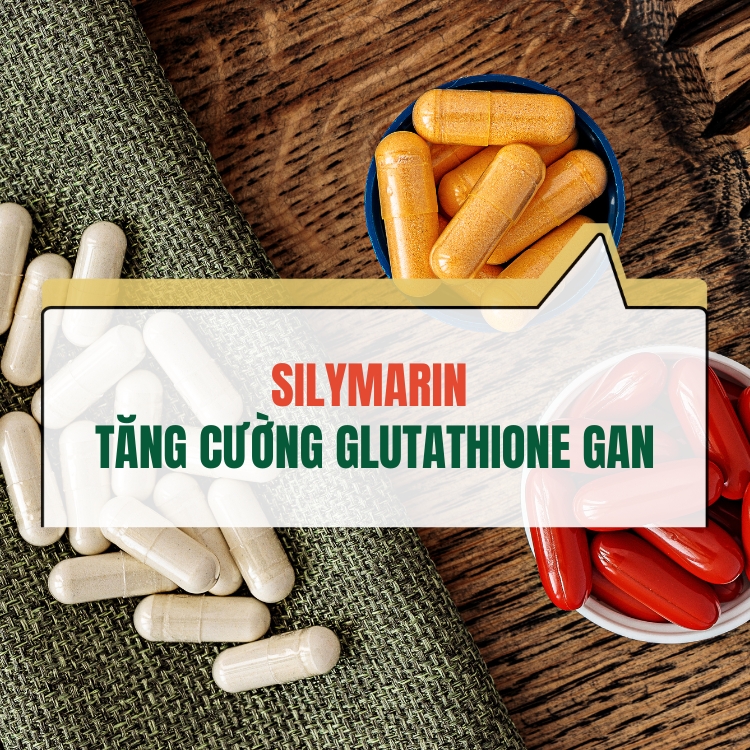 Silymarin Tang Cuong Glutathione Gan Nhu The Nao 68302ca33b4ee.webp