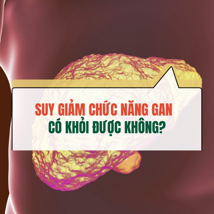 Suy Giam Chuc Nang Gan Co Chua Duoc Khong Chuyen Gia Tra Loi 68313c2824722.webp