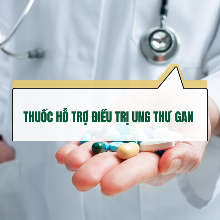 Thuoc Ho Tro Dieu Tri Ung Thu Gan Lua Chon Va Luu Y 68314a3aa6c7b.webp