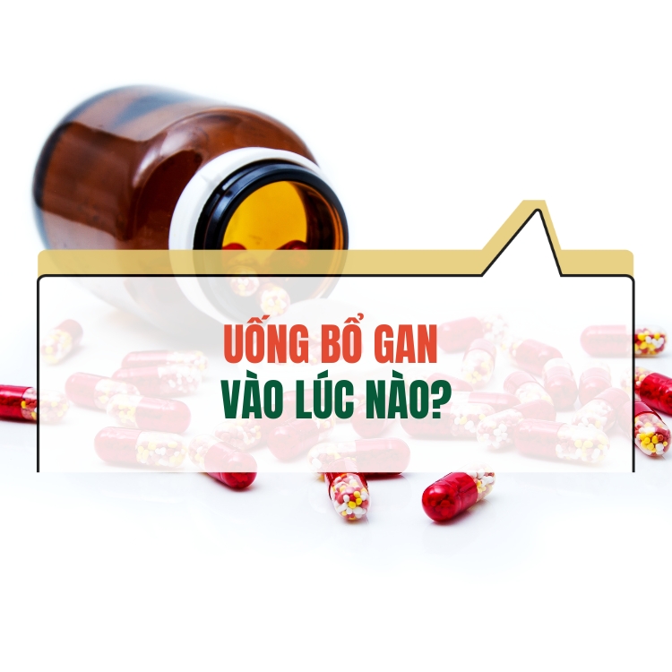 Uong Thuoc Bo Gan Khi Nao La Hop Ly Loi Khuyen Tu Chuyen Gia 683132b8309a3.webp