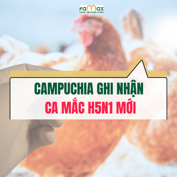 Campuchia Ghi NhẬn Ca MẮc H5n1 MỚi