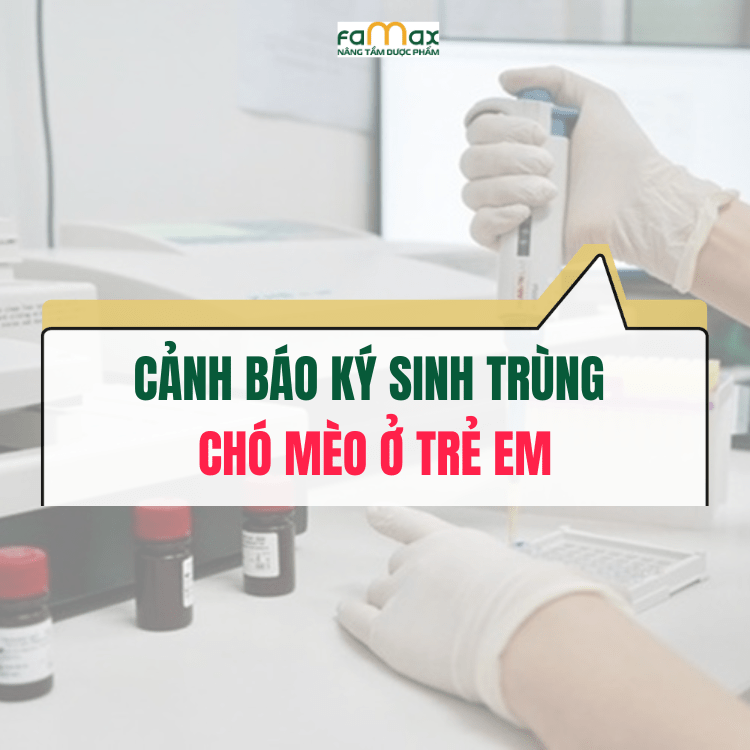 Cảnh Báo Ký Sinh Trùng Chó Mèo ở Trẻ Em 2