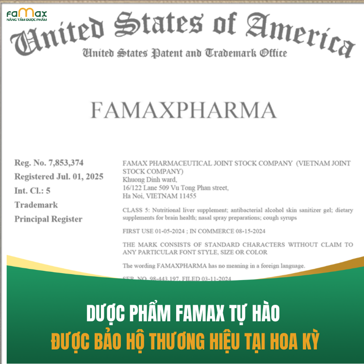 Website (1)