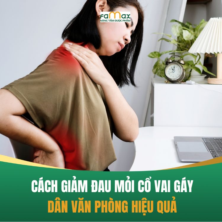 8 Cach Giam Dau Moi Vai Gay Cua Dan Van Phong Cuc Hieu Qua 68b1323897f9b.webp