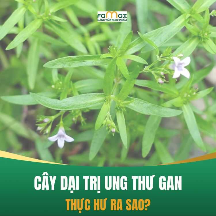 Bach Hoa Xa Thiet Thao (1)