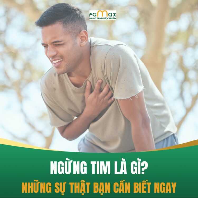 Ngung Tim La Gi Nhung Dieu Ban Can Biet