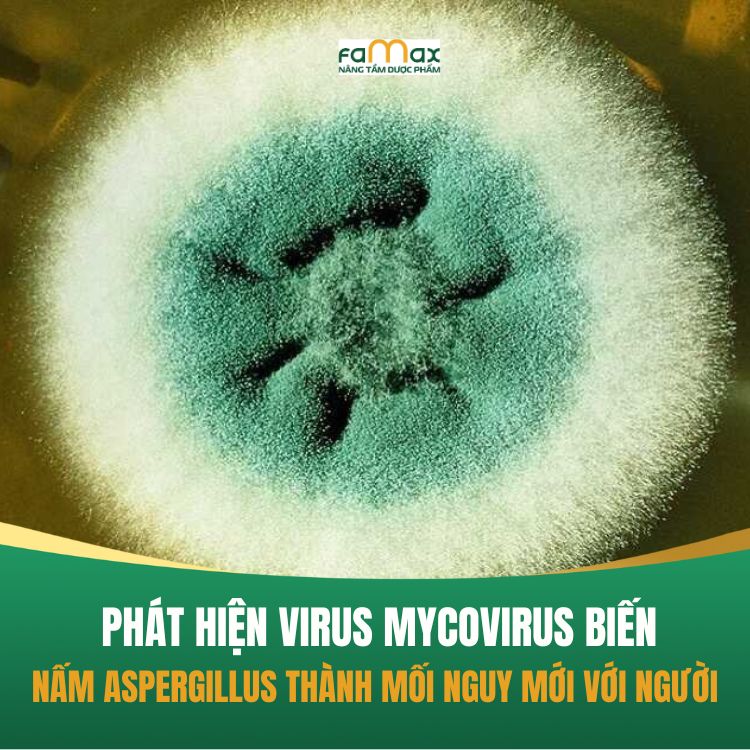 Virus Mycovirus