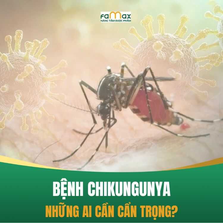 Benh Chikungunya Nguy Hiem Nhu The Nao