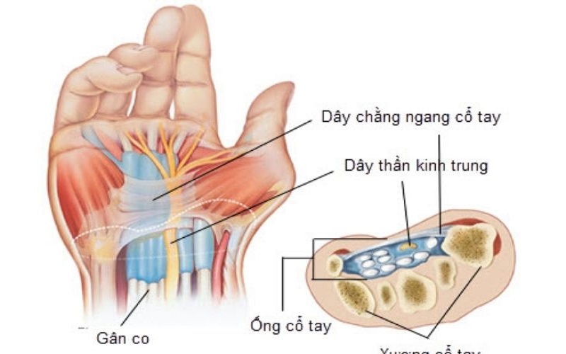 Bi Te Ban Tay Khi Ngu