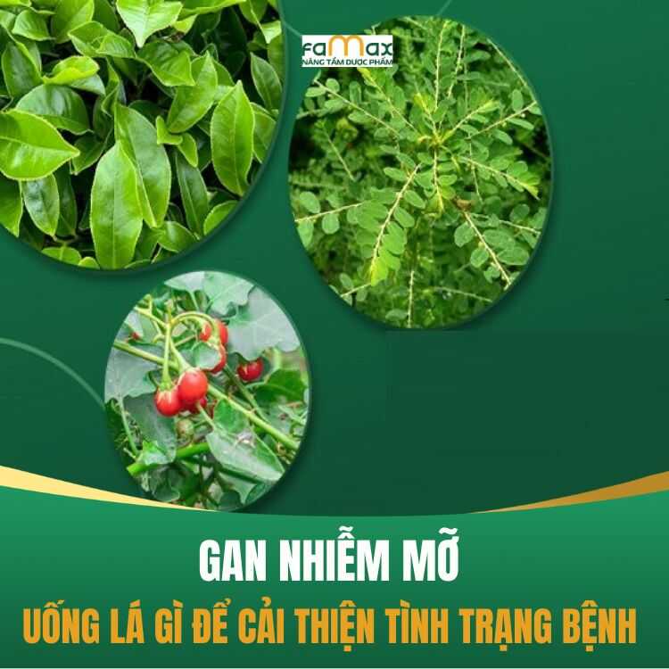 Gan Nhiem Mo Uong La Gi De Ho Tro Giai Doc Gan Tot Nhat 68afc6431f6d7.webp