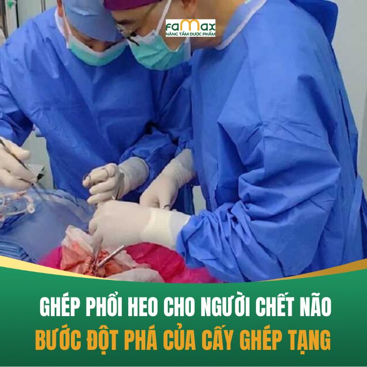 Gep Phoi Heo