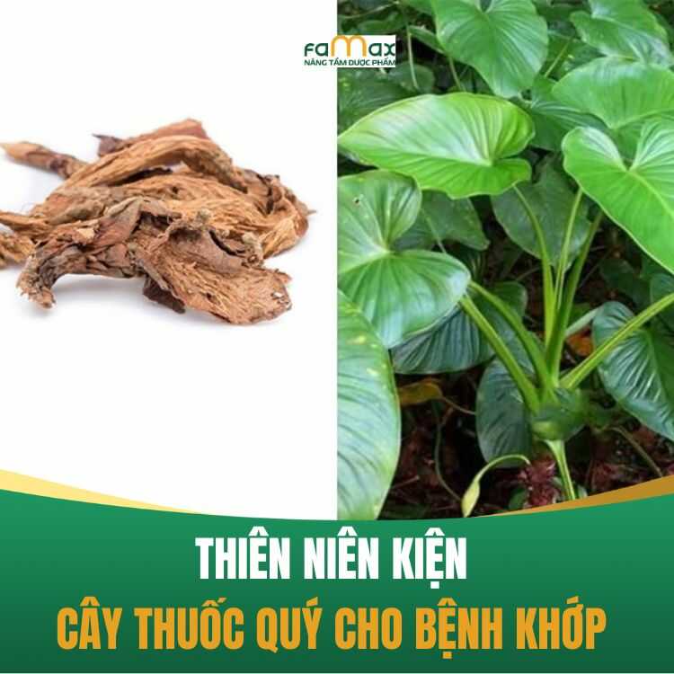 Thien Nien Kien (1)
