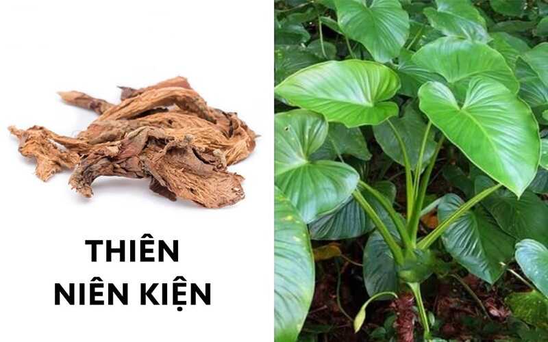 Thien Nien Kienn
