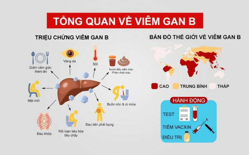 Tong Quan Ve Viem Gan B Optimized