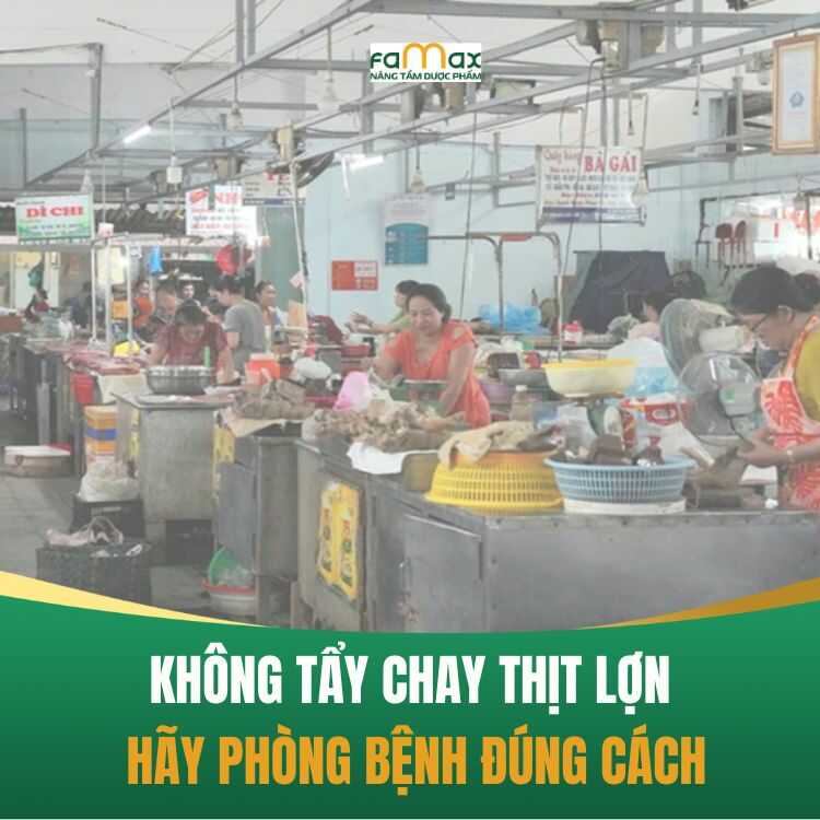 Tp Hue Khuyen Cao Khong Tay Chay Thit Lon Du Ghi Nhan Ca Benh Lien Cau Lon